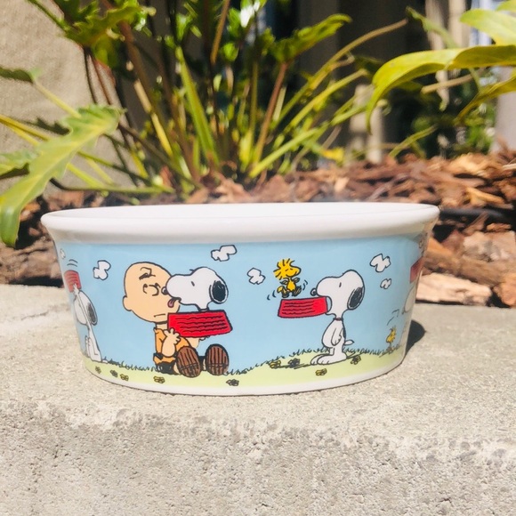 Peanuts | Other | Peanuts Charlie Brown Snoopy Dog Bowl | Poshmark